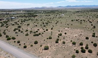 Tbd Windsor Valley Ranch Lot 87, Concho, AZ 85924