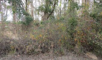 Tbd Wood County Road 2958, Alba, TX 75410