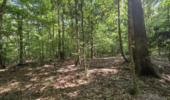 416 Summers Ln, Brookhaven, MS 39601