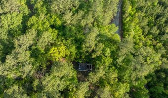 Ethridge Drive, Andrews, SC 29510