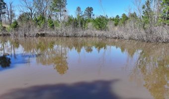 761 Richardson, Amity, AR 71921