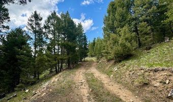 NHN Perkins Gulch Road, Anaconda, MT 59711