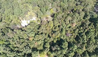 951 E County Road 206, Alton, MO 65606