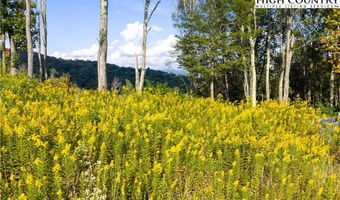 146 Banner Glade Trl, Banner Elk, NC 28604