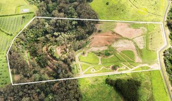 54-1749 PAIPO KANE Rd, Kapaau, HI 96755