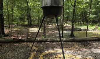 River Rd, Bascom, FL 32423