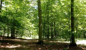 1406 Twp Rd 1353, Ashland, OH 44805