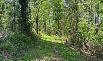 12 Acs Gidsville Rd, Amherst, VA 24521
