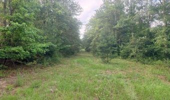 Goldenrod Drive, Barnwell, SC 29812