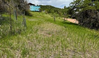 TBD-2 Vine Mesa Ave, Beulah, CO 81023
