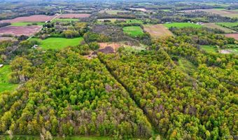Beaver Road, Alexander, NY 14005