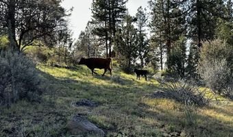 6310 Happy Hollow Ln, Bonanza, OR 97623