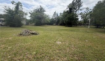 24138 PANTHER Rd, Astor, FL 32102