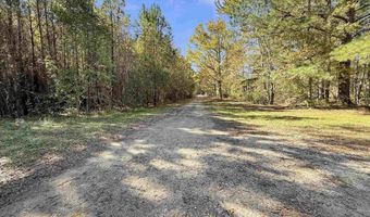 3264 Ten Acre Rd, Andrews, SC 29510