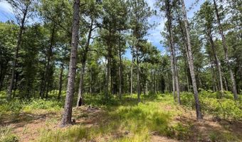 Fox Paw Court, Branchville, SC 29432
