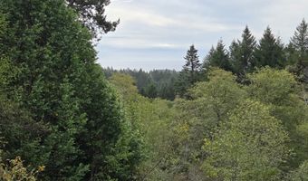 96420 ALDER RIDGE Rd, Brookings, OR 97415