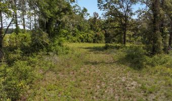 TBD 73rd Trl, Bell, FL 32619