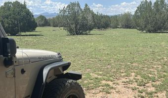 62 Cone Ln, Ash Fork, AZ 86320