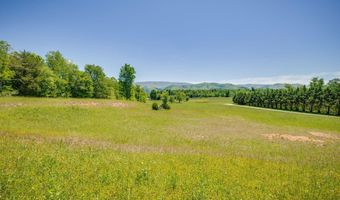 705 Union Chapel Rd, Afton, TN 37616