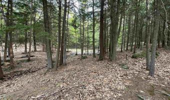 Map 212 Lot 49 Durrell Mountain Road, Belmont, NH 03220