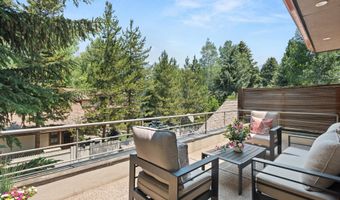 736 W Smuggler St, Aspen, CO 81611