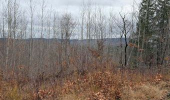 M5/L27 Pond Road, Abbot, ME 04406