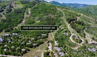 1246 Bachelor Ridge Rd 12, Avon, CO 81620