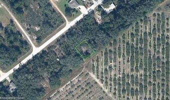 2267 N Lanier Blvd, Avon Park, FL 33825