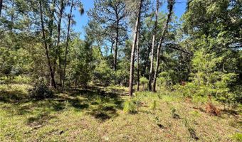 SE 152ND - RAVENSWOOD RD PARCEL B & C LOTS 16 17 Place, Altoona, FL 32702