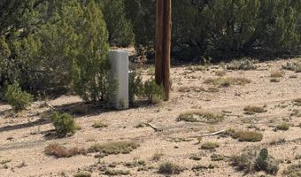 5 Clubhouse Ln, Concho, AZ 85924