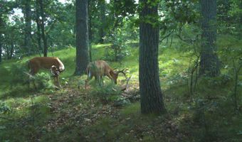 8752 HWY A, Almond, WI 54909