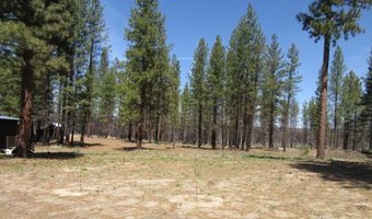 56236 Parazoo Trl, Bly, OR 97622