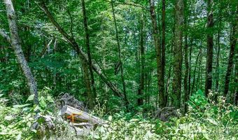 218 Old Mountain Rd, Banner Elk, NC 28604
