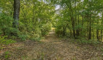 Harry Priddy Road, Americus, GA 31719