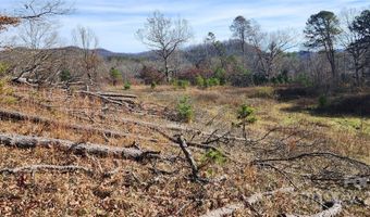 1 Gaylors Br 1, Balsam Grove, NC 28708