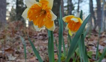 5877 Five Mile Point Rd, Allouez, MI 49805