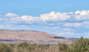1483 County Road 5270, Concho, AZ 85924