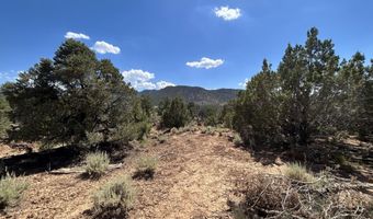 17781 W Harmony Ln, Cedar City, UT 84720