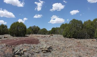 N8190, Concho, AZ 85924