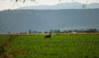 3127 US HWY 95, Cambridge, ID 83610