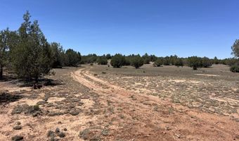 39303 N Bullock Rd, Ash Fork, AZ 86320