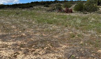 0 Scouts Ln, Anza, CA 92539