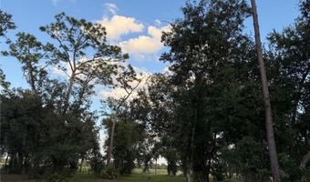 SE TOWNSEND AVENUE, Arcadia, FL 34266