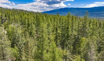 Nhn Red Hawk Drive, Bigfork, MT 59911