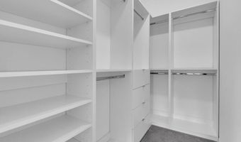 4859 FRATTINA, Ave Maria, FL 34142