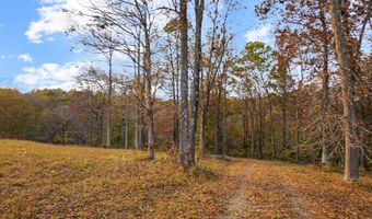 Joiner Hollow Road, Big Rock, TN 37023