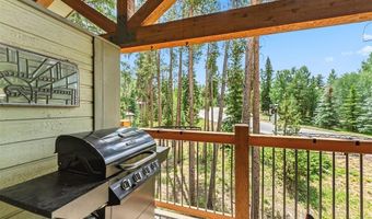 550 S FRENCH St 205, Breckenridge, CO 80424