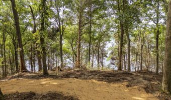 NELLS KNOB Cv, Bath Springs, TN 38311