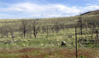 Ranger Way lot Bvr 942-3, Belfry, MT 59008