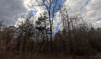 Saint John Road, Braxton, MS 39044